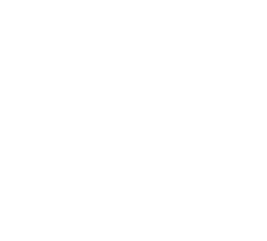 bsre-logo-white